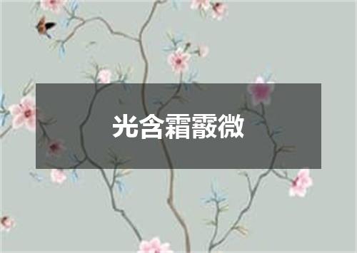 光含霜霰微