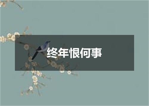 终年恨何事