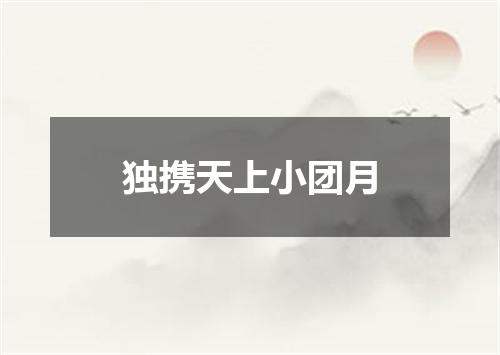 独携天上小团月
