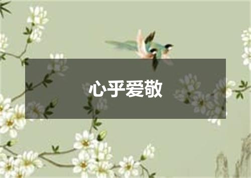 心乎爱敬