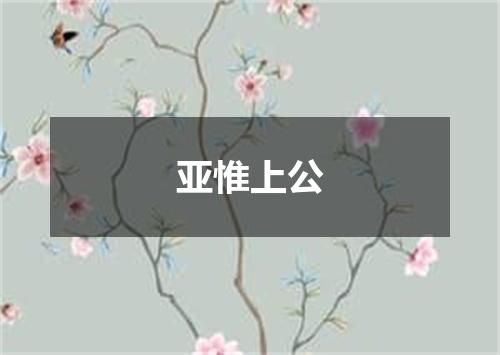 亚惟上公