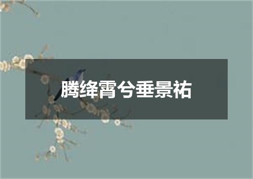 腾绛霄兮垂景祐
