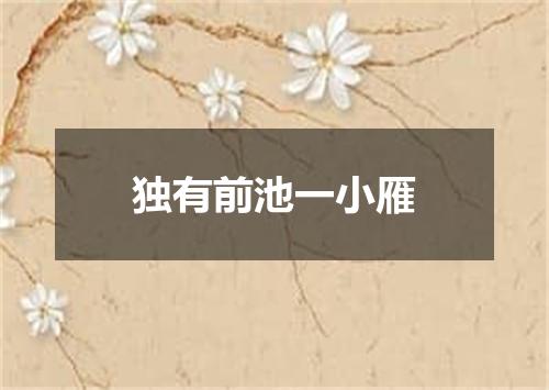 独有前池一小雁
