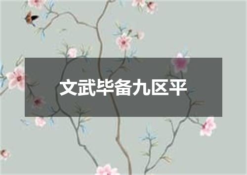 文武毕备九区平