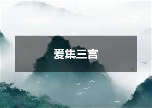 爰集三宫