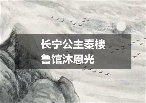 长宁公主秦楼鲁馆沐恩光