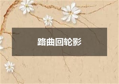 路曲回轮影