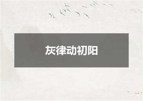 灰律动初阳