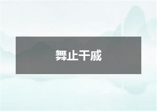 舞止干戚