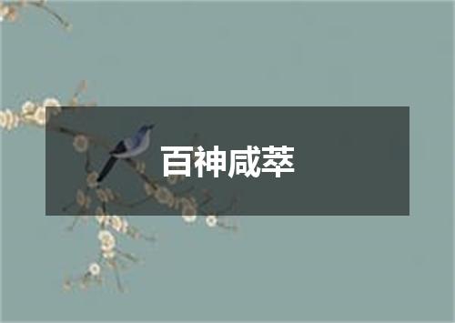 百神咸萃