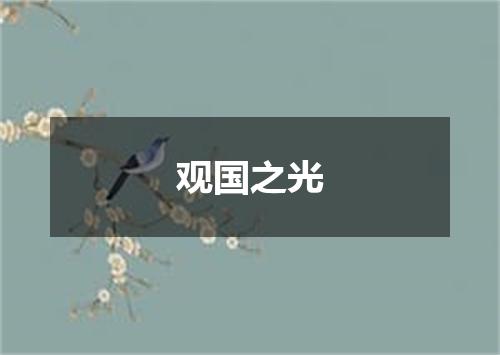 观国之光