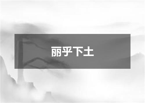 丽乎下土