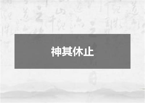 神其休止