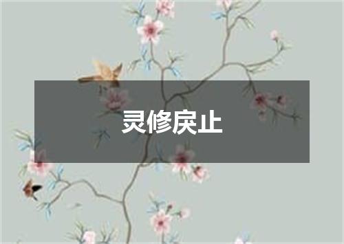 灵修戾止