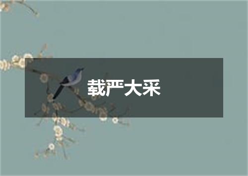 载严大采