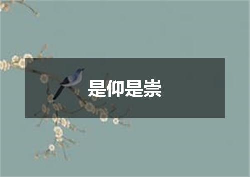 是仰是崇