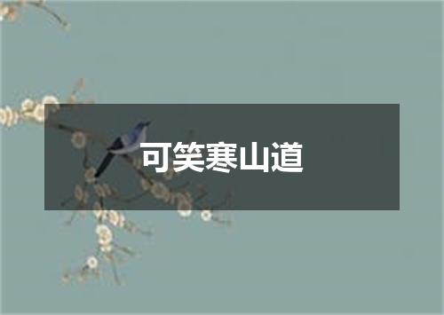 可笑寒山道