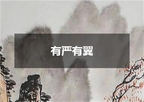 有严有翼