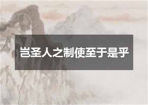 岂圣人之制使至于是乎