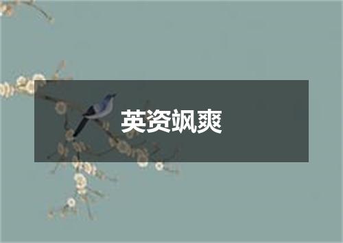 英资飒爽