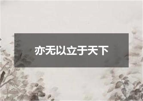亦无以立于天下