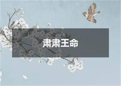 肃肃王命