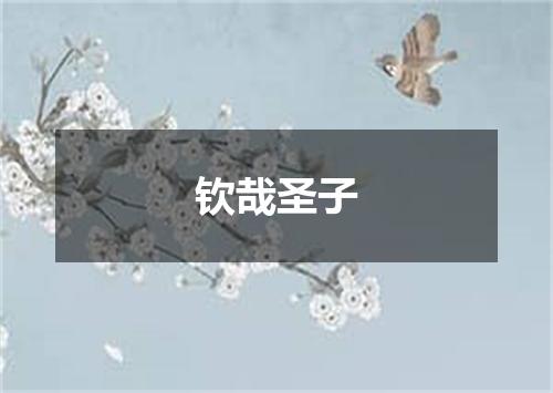钦哉圣子