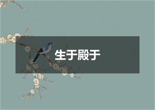 生于殿于