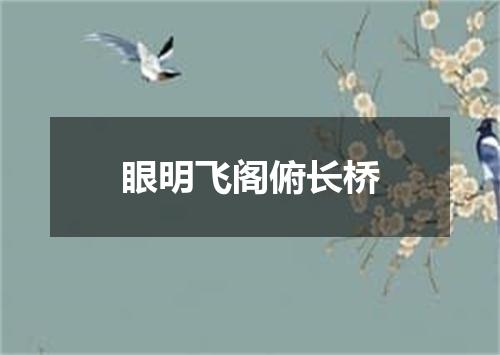 眼明飞阁俯长桥