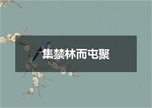 集禁林而屯聚