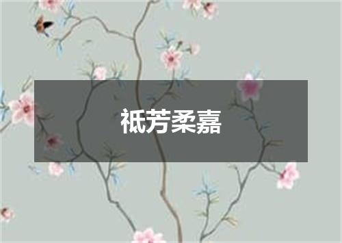祗芳柔嘉