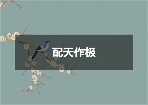 配天作极