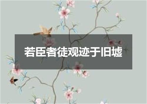 若臣者徒观迹于旧墟