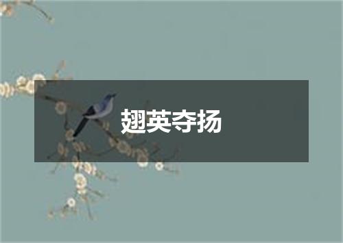 翅英夺扬