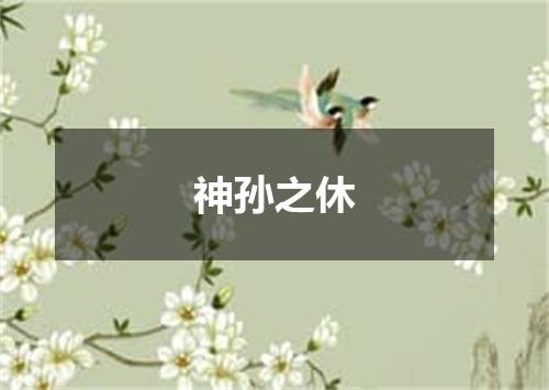 神孙之休