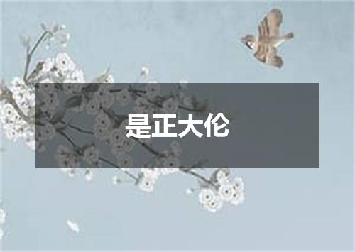 是正大伦