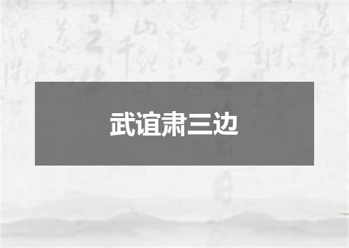 武谊肃三边