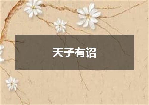 天子有诏
