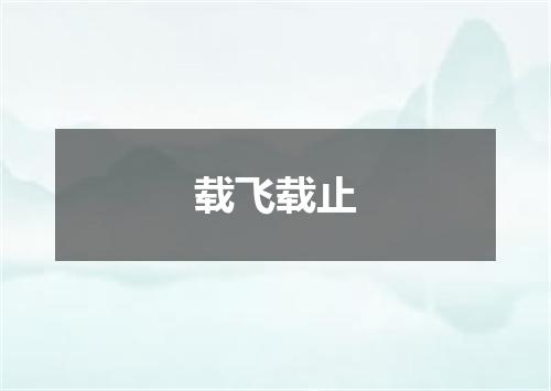载飞载止