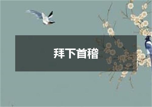 拜下首稽