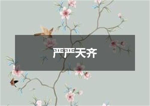 严严天齐