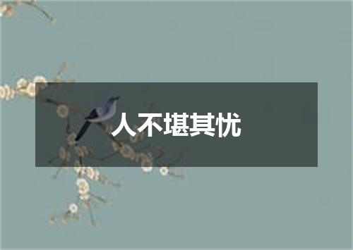 人不堪其忧