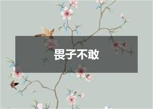 畏子不敢