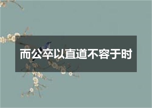 而公卒以直道不容于时