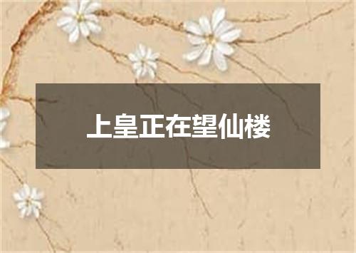 上皇正在望仙楼