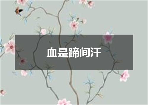 血是蹄间汗