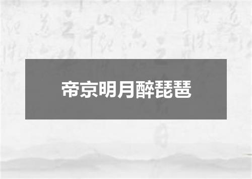 帝京明月醉琵琶