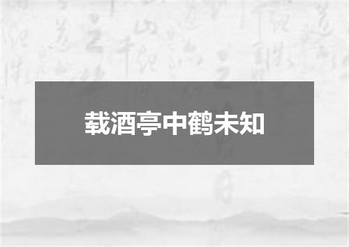 载酒亭中鹤未知