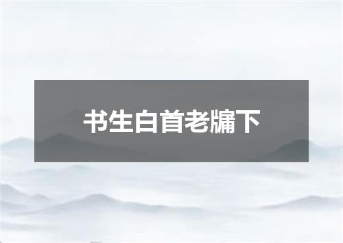 书生白首老牖下