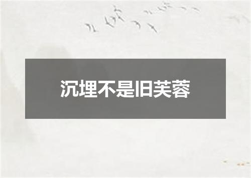 沉埋不是旧芙蓉